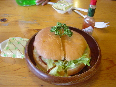 d0129745_1141931.jpg