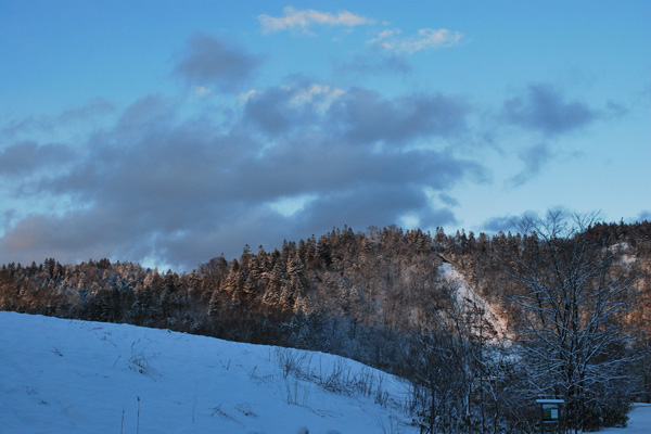 f0166545_2045243.jpg