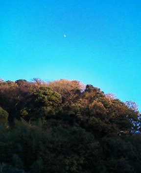 f0153946_16254792.jpg