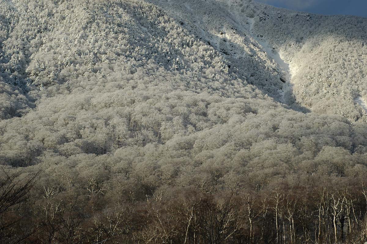 c0077847_18452392.jpg