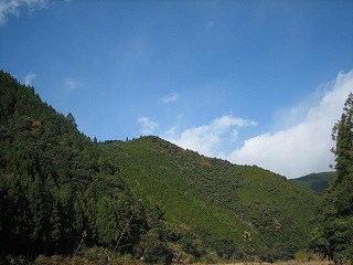 a0054948_12592286.jpg