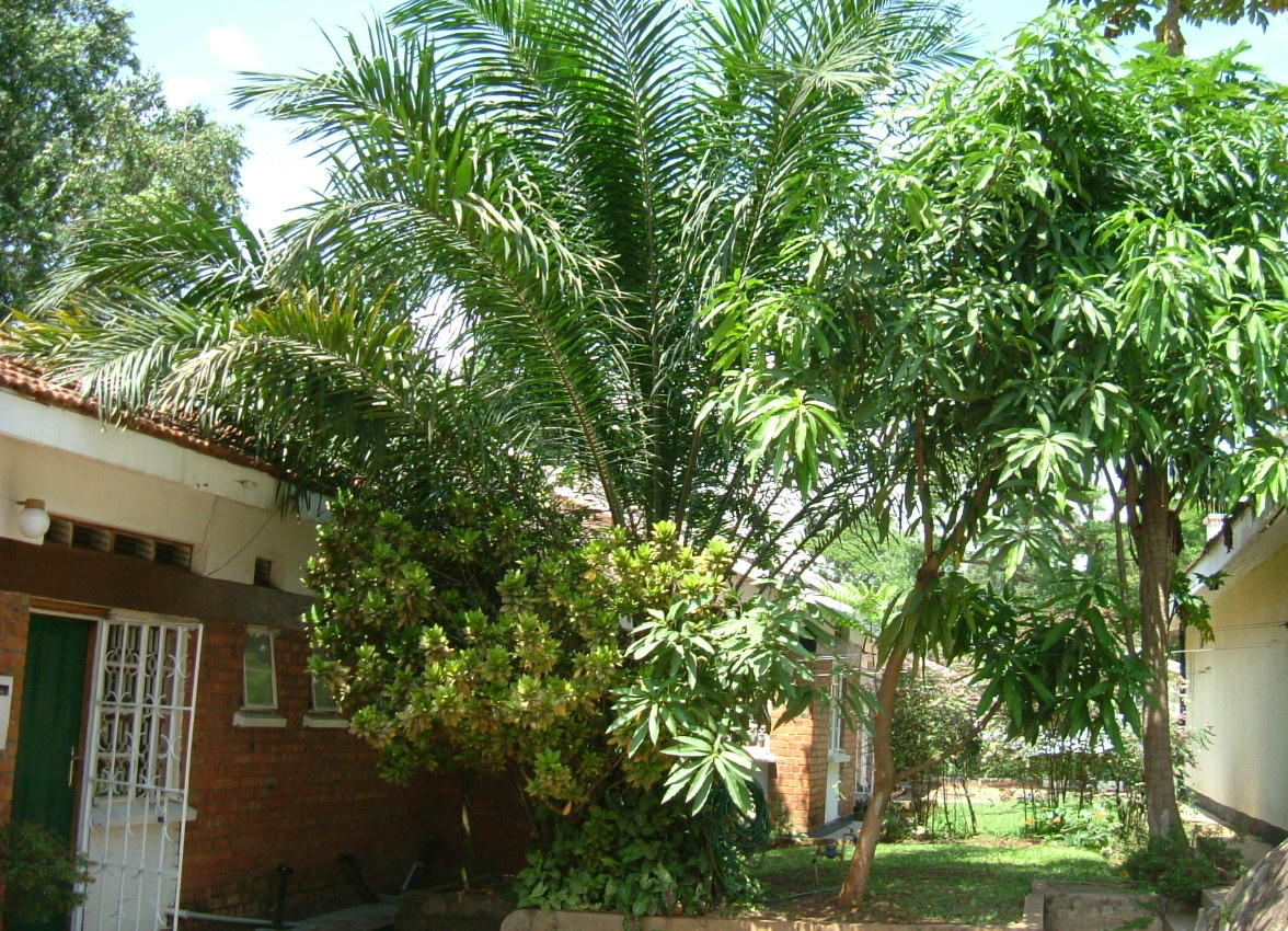 d0135148_5235061.jpg