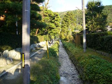 f0062649_665648.jpg