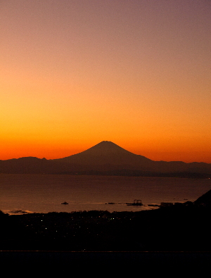 a0003150_2154491.jpg