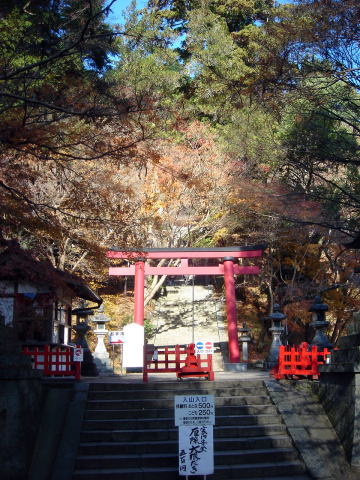 e0083155_15443463.jpg