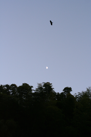 e0076761_19505968.jpg