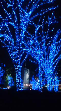 d0045362_15151984.jpg