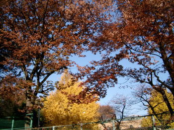 a0085663_1262771.jpg