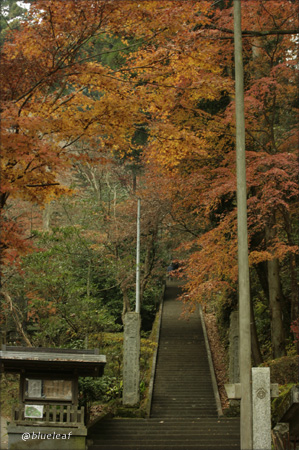 c0027369_21253077.jpg