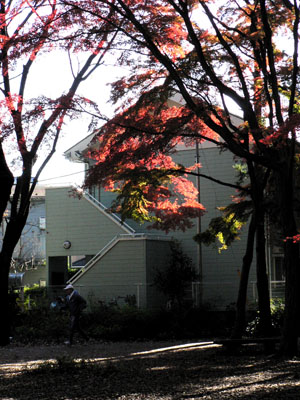 f0086169_0175554.jpg