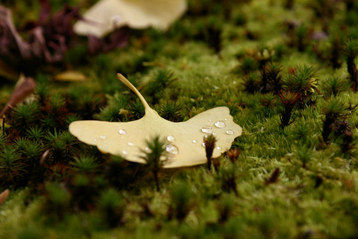 d0079373_4194443.jpg