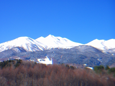 f0182173_11524437.jpg