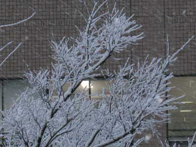 c0152274_1413351.jpg