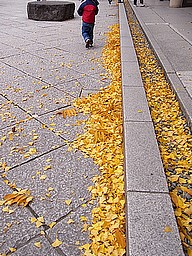 f0049479_0162331.jpg
