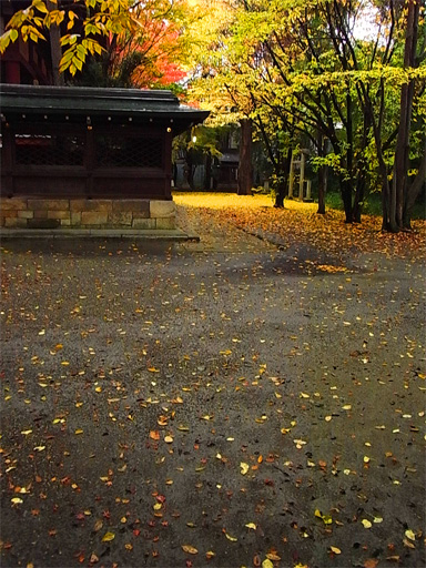f0089079_2164781.jpg