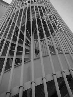 f0100480_1401546.jpg