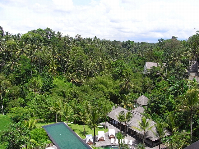 b0101284_223937.jpg