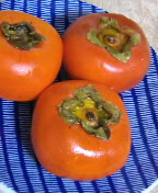 f0009984_1437664.jpg