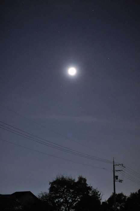 b0143293_736334.jpg