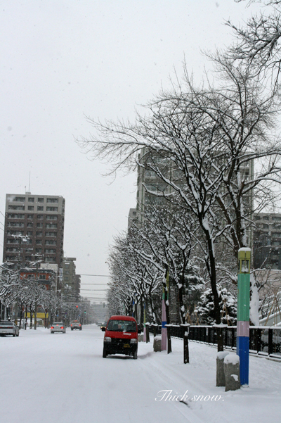 f0001895_16262021.jpg