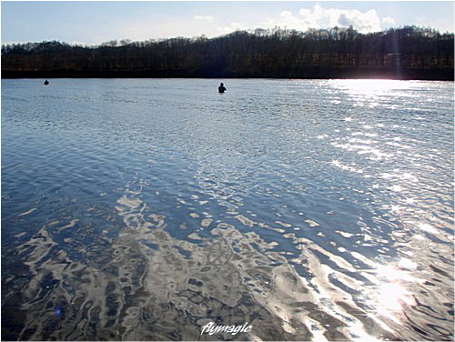 e0035597_1734148.jpg