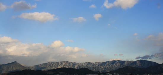 c0129498_1440839.jpg
