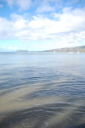 a0011999_1927793.jpg