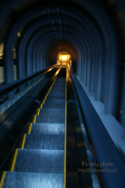 e0008800_13161255.jpg