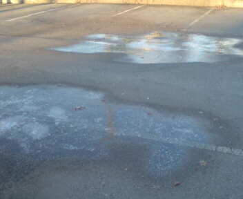 e0144400_2262020.jpg
