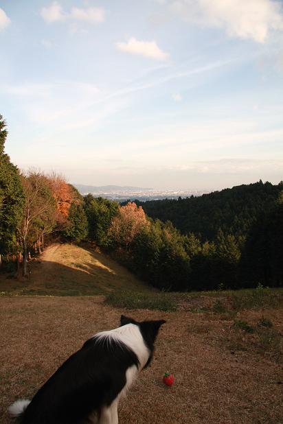 f0034602_19185457.jpg