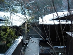 c0151903_18282139.jpg