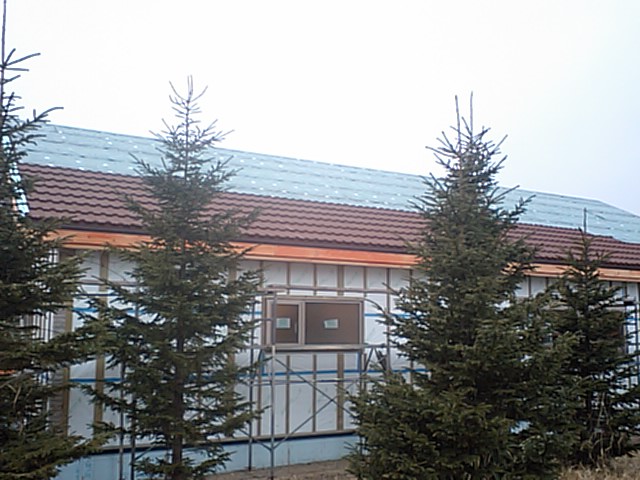 f0025004_17533152.jpg