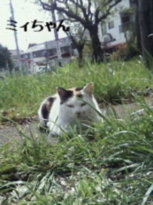 e0131506_15541986.jpg