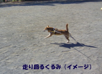 e0131506_1627316.jpg