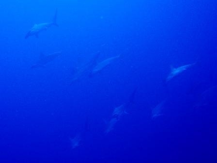 b0120510_1520301.jpg