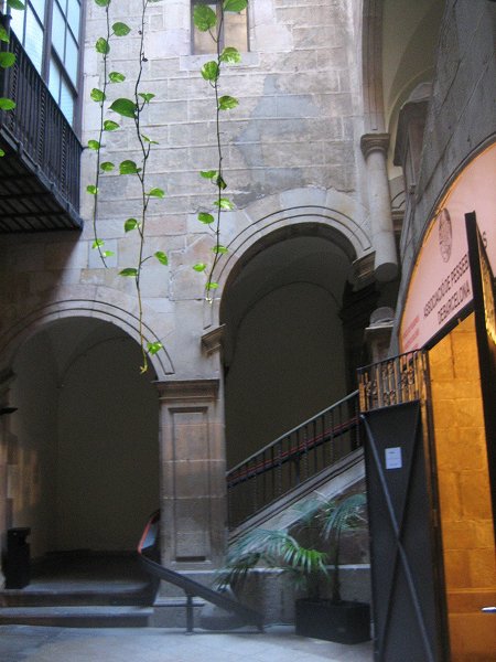 b0064411_657212.jpg