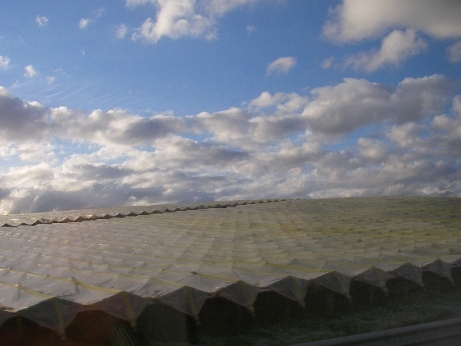 f0133814_0411814.jpg
