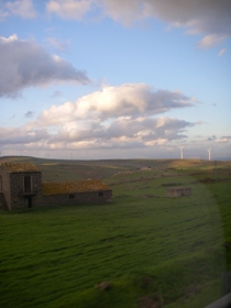 f0133814_0453612.jpg