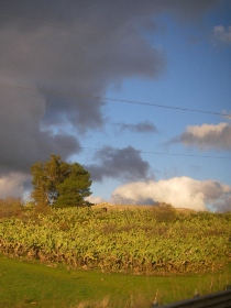 f0133814_04552.jpg