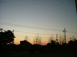 f0153115_7363760.jpg