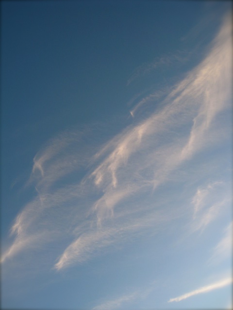 c0120817_2451765.jpg