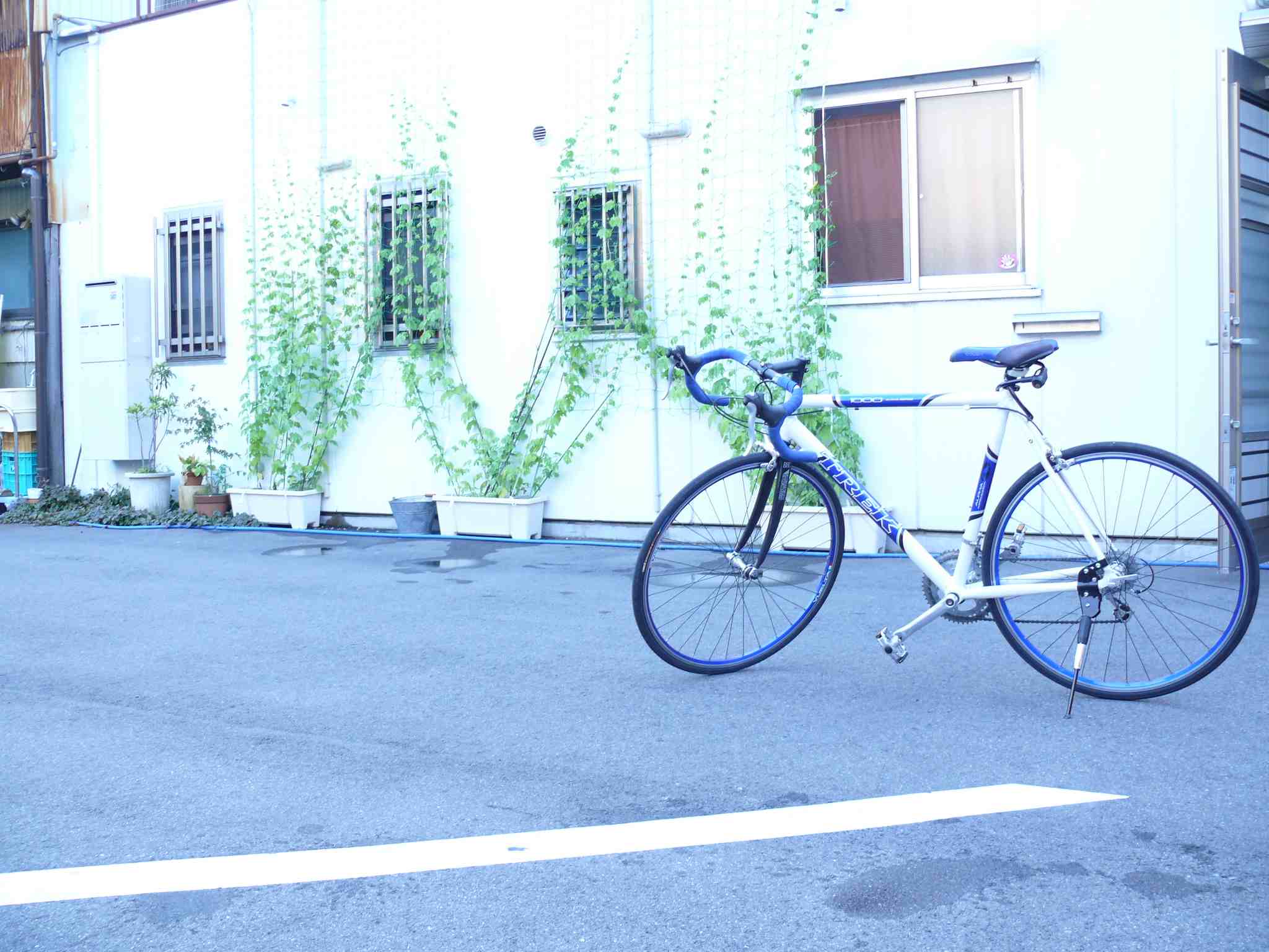 c0122519_18563144.jpg
