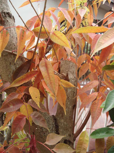 e0110719_21144725.jpg