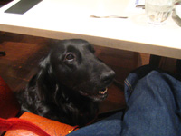 c0012120_2343636.jpg