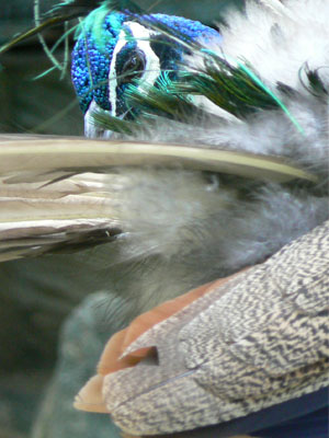e0148120_5202182.jpg