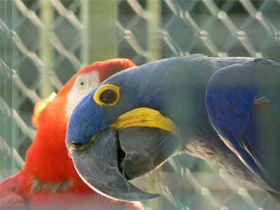 e0148120_575727.jpg