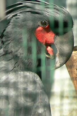 e0148120_58113.jpg
