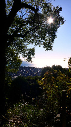 f0060424_18353416.jpg