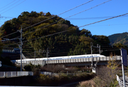 f0060424_18541663.jpg