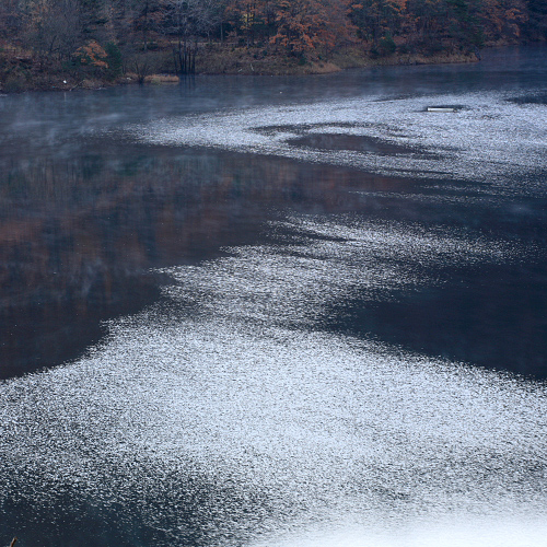 d0148125_22314879.jpg